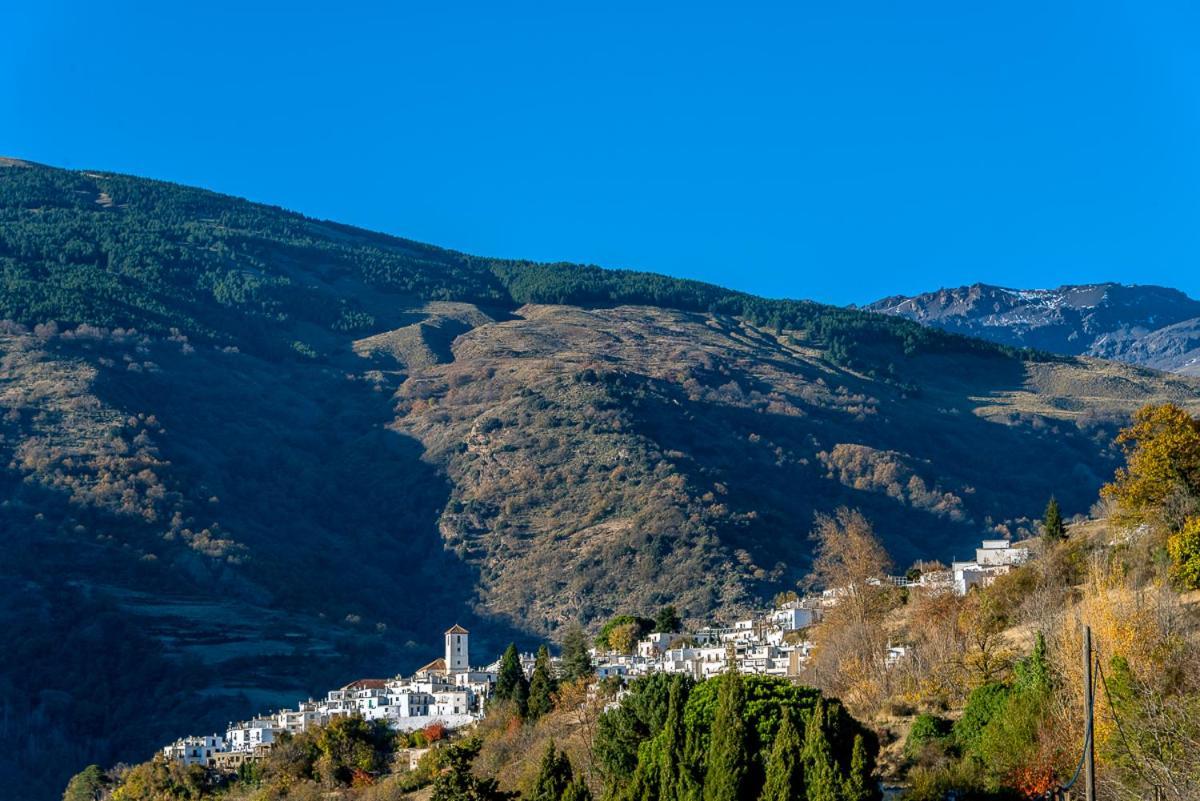 Apartamento Casa Manuela En Capileira - Alpujarra Eksteriør billede